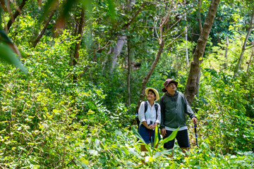 Naklejka na ściany i meble Happy Asian family couple on summer holiday vacation. Mature adult couple hiking together in forest. Man and woman enjoy outdoor lifestyle trekking and looking to green wood on travel vacation.