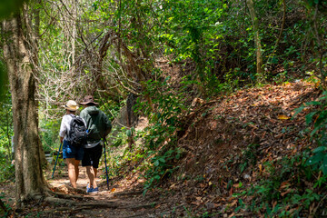 Naklejka premium Happy Asian family couple on summer holiday vacation. Mature adult couple hiking together in forest. Man and woman enjoy outdoor lifestyle trekking and looking to green wood on travel vacation.