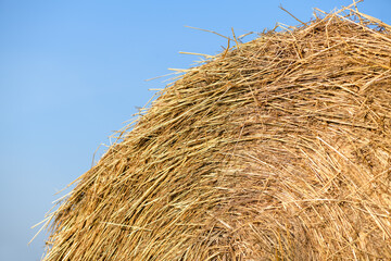 Haystack against the blue sky, close-up. Harvest concept. Rural scenery
