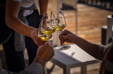 person holding a glass of wine