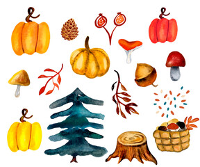 PNG with transparent background , Watercolor autumn set of pumpkin, acorn, mushrooms, twig, spruce, pine, stump, basket, harvest, suitable for decoration designs, Halloween cards, Thanksgiving.