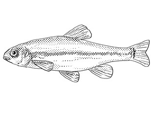 Cartoon style line drawing of a Fathead minnows or Pimephales promelas freshwater fish endemic to North America with halftone dots shading on isolated background in black and white.