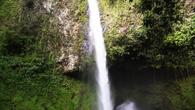 Tilt up shot of la fortuna waterfall in the rain forest of costa rica in central america