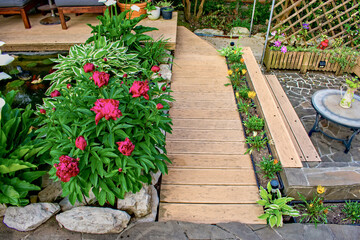 Ornamental plants for garden and pond decoration. Red peonies around pond and walkways. A place for rest and relaxation. Patio decoration