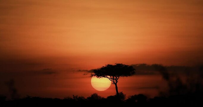 A sunset in the savannah in Kenya