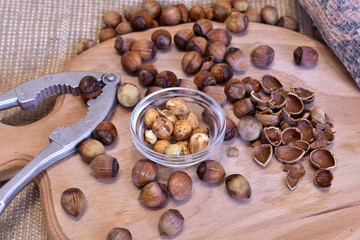Hazelnuts, nutcracker lie on a cutting board.