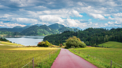 Bicycle route leading around Czorsztyn Lake - Velo Czorsztyn. View at Pieniny Mountains. Beautiful, rural, mountain landscape on summer day. Green meadow and hills covered with forest. Visit Poland.