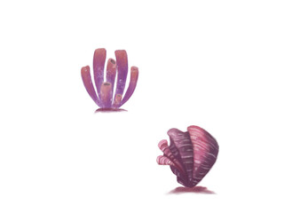 Illustration of ocean Violet corals. Idea for icon, children’s books, art, cartoon, print, stickers