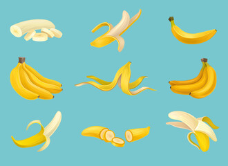 Whole, Peeled and Sliced Banana as Tropical Exotic Fruit Big Vector Set