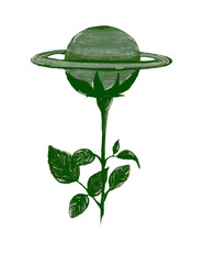 Watercolor illustration of a surreal flower planet Saturn velvet green, isolated from the background for your design, hand drawn