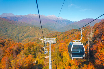 Cabins on lifts go up to the mountains around the landscape of the autumn season with bright yellow foliage on the slopes of the mountains.