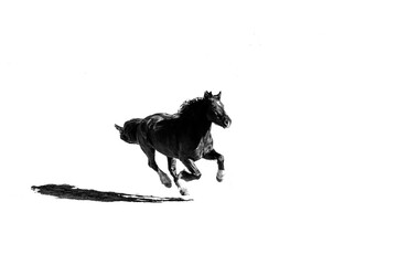 Running isolated black horse with a shadow on an white background