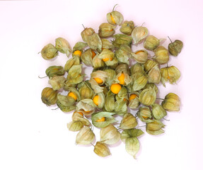 Group of ceplukan or cape gooseberry or physalis