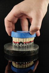 Dental technician checks his work in the lab