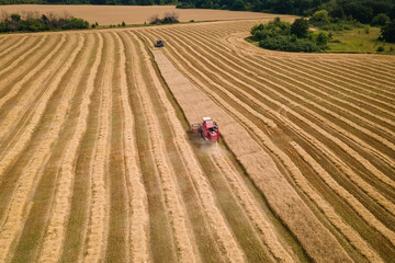 Harvester machine working in field. Red Combine harvester agriculture machine harvesting golden ripe wheat field