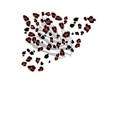 mixed animal print on plain ground