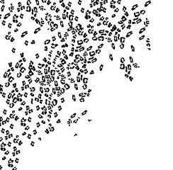 mixed animal print on plain ground