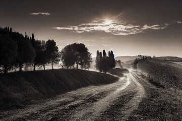 Obraz premium beautiful tuscany landscape, sunset morning lights, peaceful background