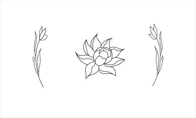 black line art clipart of branch with leaves black leaves and buds. Hand painted fresh fruits isolated on white background. Tasty food illustration for design, print, 