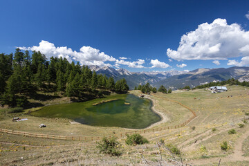 panoramic view of Lake Laune in the high mountains of the Alps of Piedmont. Susa Valley, Wood of...