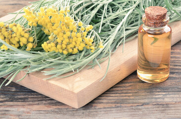 Bouquet of fresh flowering plant Helichrysum italicum, bottle of essential oil on a wooden background