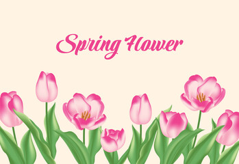 Fototapeta premium Tulip flower background design