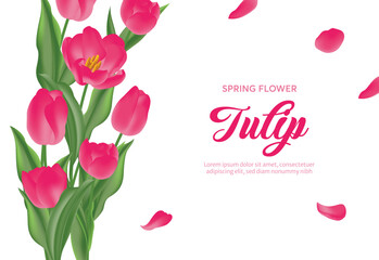 Tulip flower bouquet decoration design