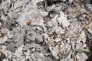 The white and gray wood ash is from the campfire at the campsite. Fireplace. Natural ash background, texture.