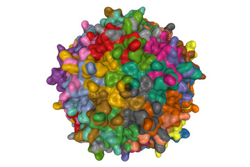 Crystal structure of adeno-associated virus serotype 3B, 3D Gaussian surface model, chain id color scheme, PDB 3kie, transparent background