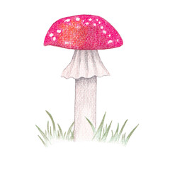 colored pencil mushroom