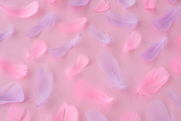 Beautiful soft pink purple feathers and fluff on pink background. Abstract modern festive, love, valentines day, romantic, easter background
