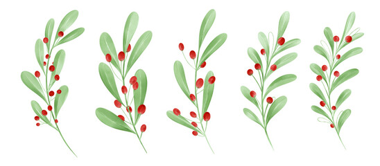 tulips isolated on white Watercolor Christmas wreath  on awhite background.