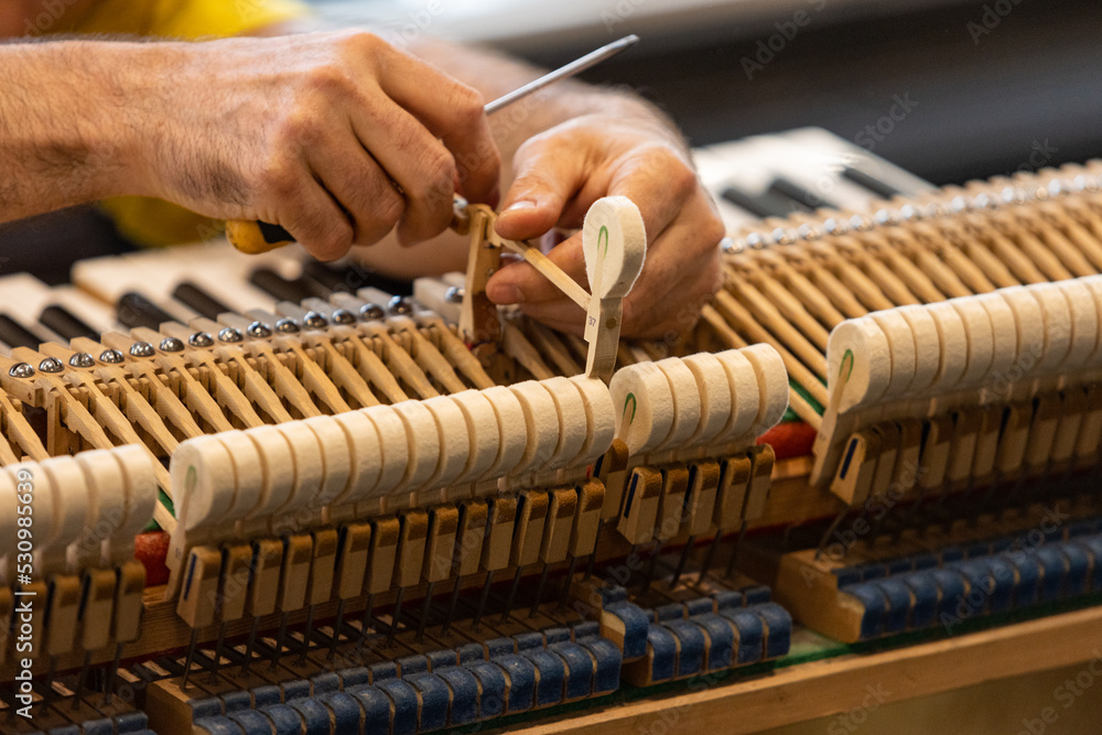 Wall mural piano master. the master repairs an old piano. deep cleaning the piano.