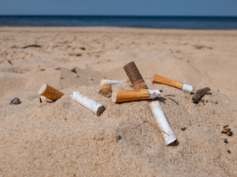 Cigarette butts in the white sand on Baltic sea beach as toxic plastic pollution in the beach sand. Most littered plastic item in the world. Beach pollution