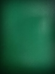 beautiful   green  leather sofa upholstery surface