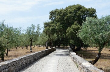 Camino de los Pastorcitos, Fátima, Portugal