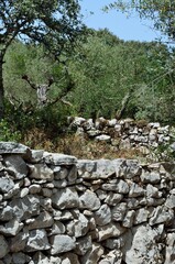 Obraz premium Muro de piedra junto al Via Crucis en el Camino de los Pastorcitos, Fátima, Portugal