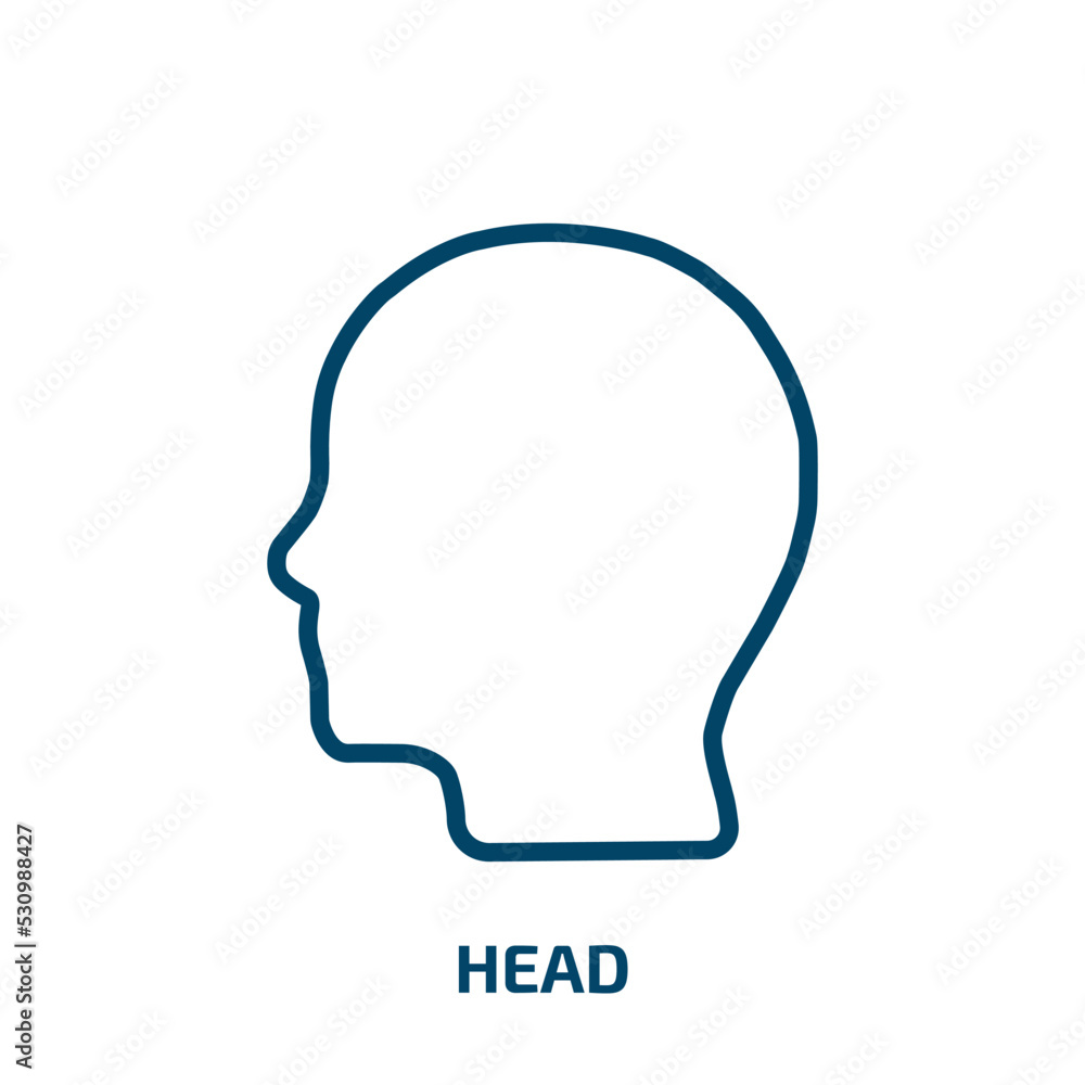 Poster head icon from user interface collection. thin linear head, human, business outline icon isolated on