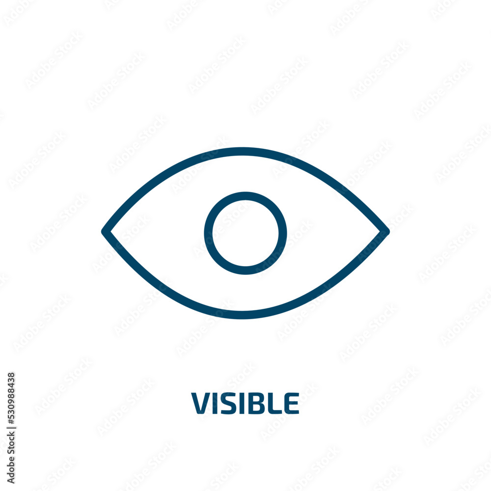 Poster visible icon from user interface collection. thin linear visible, visibility, eye outline icon isola