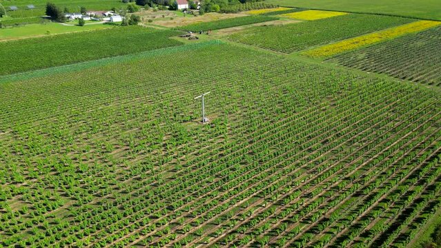 Aerial view orchard or vineyard with wind machine to protect plants