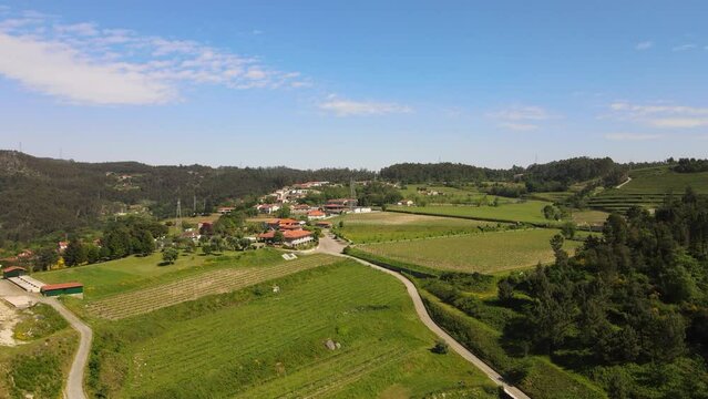 Day time in a Wine valley in North of Europe