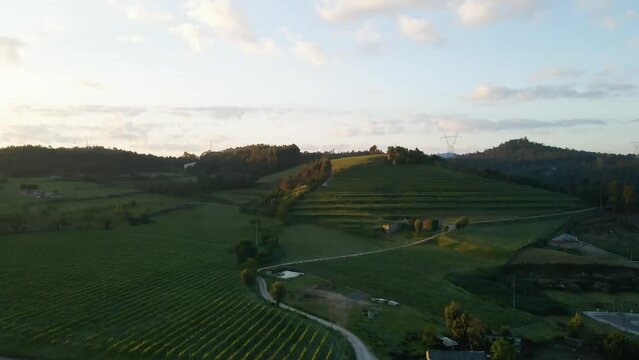 Sunset on the Wine valley in the Norhen of Portugal