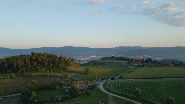 Sunset in a vineyard in the north of Portugal