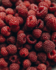 raspberries close-up. whole red raspberries background