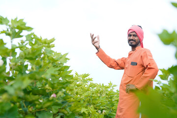 young indian farmer at cotton agriculture field.