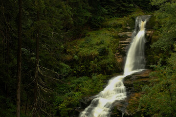 waterfall in the forest. mountain water. wildlife . mountain river turning into a waterfall.