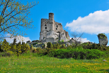 Fototapeta premium Ruins of 14th century castle located in the Mirow village, Silesian Voivodeship, Poland.