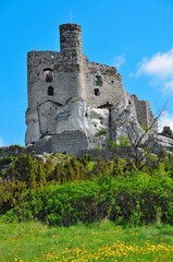 Fototapeta na wymiar Ruins of 14th century castle located in the Mirow village, Silesian Voivodeship, Poland.