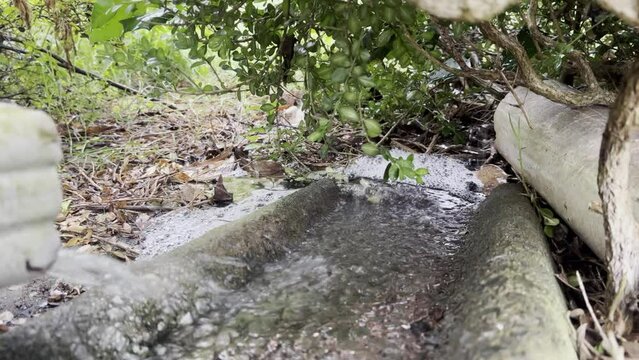Gutter in hard summer rain storm in Clemmons NC
