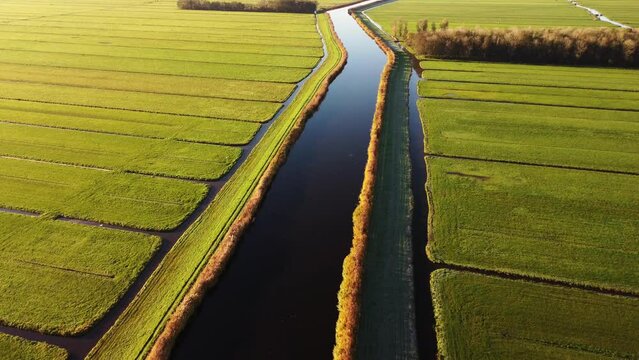 Aerial drone footage of vast green Dutch farmland fields in the countryside, separated by water canals. Filmed at sunrise.